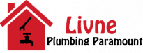 Livne Plumbing Paramount